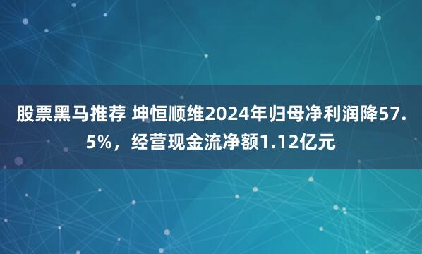 股票黑马推荐 坤恒顺维2024年归母净利润降57.5%，经营现金流净额1.12亿元