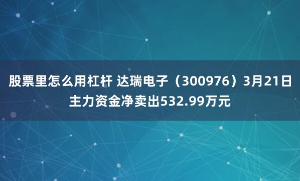股票里怎么用杠杆 达瑞电子（300976）3月21日主力资金净卖出532.99万元