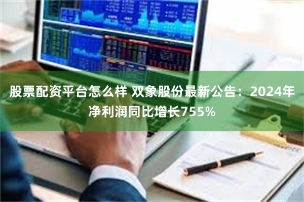 股票配资平台怎么样 双象股份最新公告：2024年净利润同比增长755%