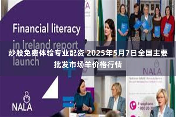 炒股免费体验专业配资 2025年5月7日全国主要批发市场羊价格行情