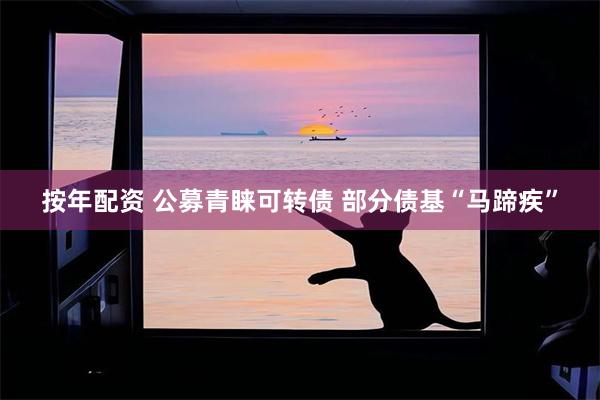 按年配资 公募青睐可转债 部分债基“马蹄疾”