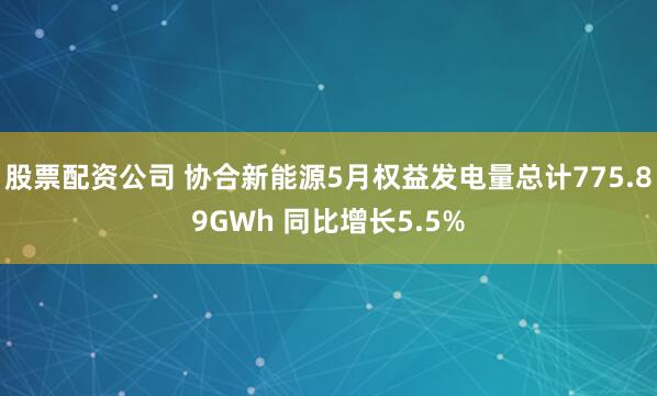 股票配资公司 协合新能源5月权益发电量总计775.89GWh 同比增长5.5%