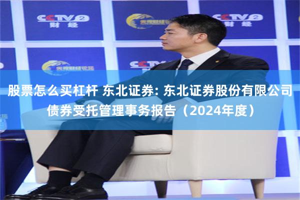 股票怎么买杠杆 东北证券: 东北证券股份有限公司债券受托管理事务报告(2024年度)