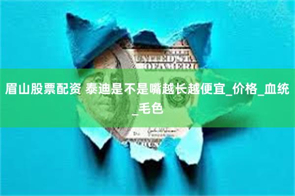 眉山股票配资 泰迪是不是嘴越长越便宜_价格_血统_毛色