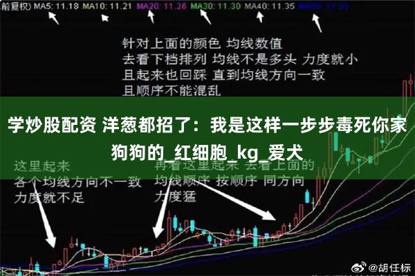 学炒股配资 洋葱都招了：我是这样一步步毒死你家狗狗的_红细胞_kg_爱犬