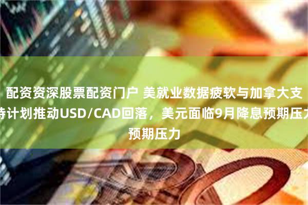 配资资深股票配资门户 美就业数据疲软与加拿大支持计划推动USD/CAD回落，美元面临9月降息预期压力