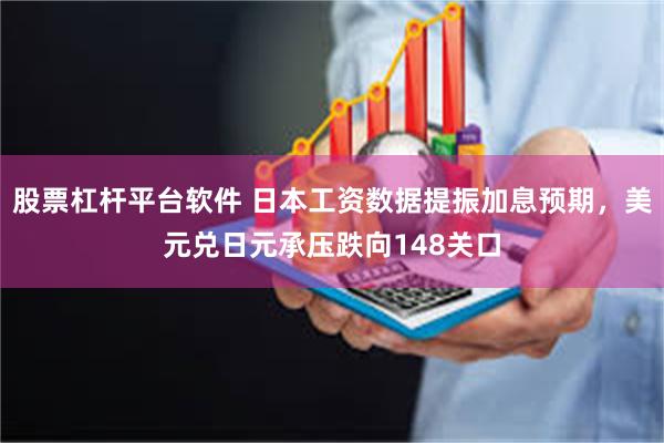 股票杠杆平台软件 日本工资数据提振加息预期，美元兑日元承压跌向148关口
