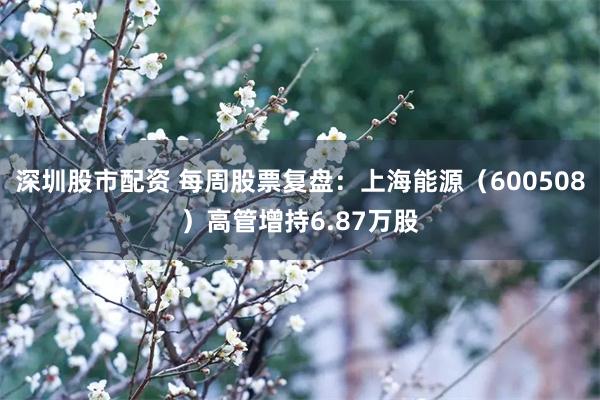深圳股市配资 每周股票复盘：上海能源（600508）高管增持6.87万股