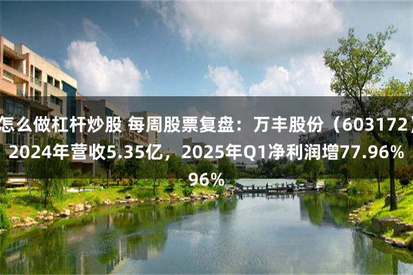 怎么做杠杆炒股 每周股票复盘：万丰股份（603172）2024年营收5.35亿，2025年Q1净利润增77.96%