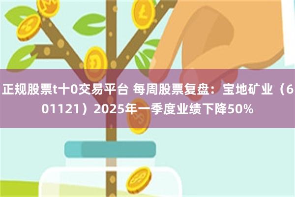 正规股票t十0交易平台 每周股票复盘：宝地矿业（601121）2025年一季度业绩下降50%