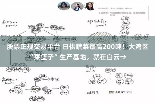 股票正规交易平台 日供蔬菜最高200吨！大湾区“菜篮子”生产基地，就在白云→