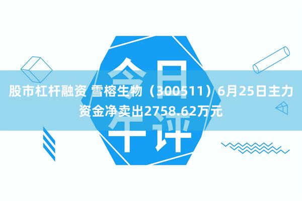 股市杠杆融资 雪榕生物（300511）6月25日主力资金净卖出2758.62万元