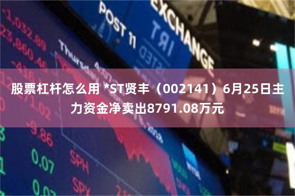 股票杠杆怎么用 *ST贤丰（002141）6月25日主力资金净卖出8791.08万元