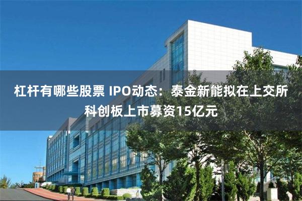 杠杆有哪些股票 IPO动态：泰金新能拟在上交所科创板上市募资15亿元