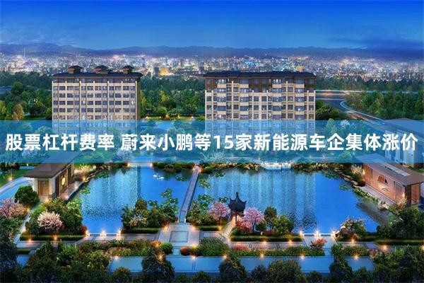 股票杠杆费率 蔚来小鹏等15家新能源车企集体涨价