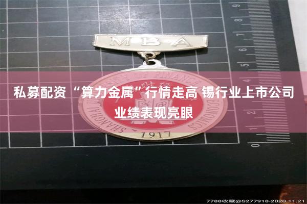 私募配资 “算力金属”行情走高 锡行业上市公司业绩表现亮眼