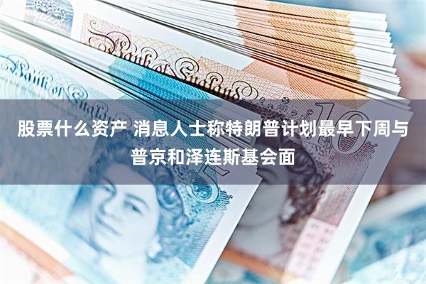 股票什么资产 消息人士称特朗普计划最早下周与普京和泽连斯基会面