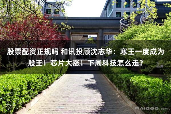 股票配资正规吗 和讯投顾沈志华：寒王一度成为股王！芯片大涨！下周科技怎么走？