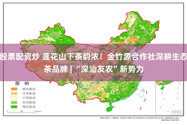 股票配资炒 莲花山下茶韵浓！金竹源合作社深耕生态茶品牌 | “深汕友农”新势力