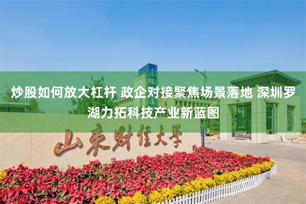 炒股如何放大杠杆 政企对接聚焦场景落地 深圳罗湖力拓科技产业新蓝图