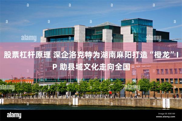 股票杠杆原理 深企洛克特为湖南麻阳打造“橙龙”IP 助县域文化走向全国