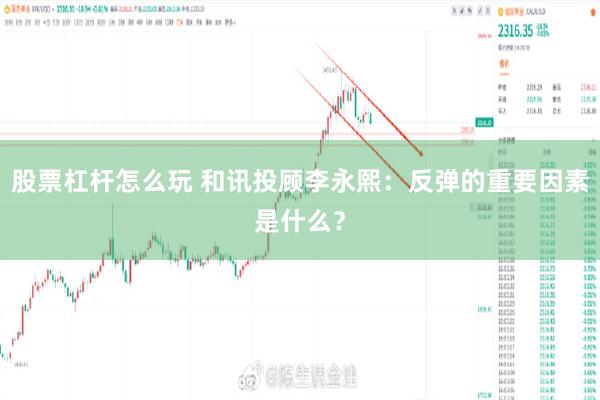 股票杠杆怎么玩 和讯投顾李永熙：反弹的重要因素是什么？