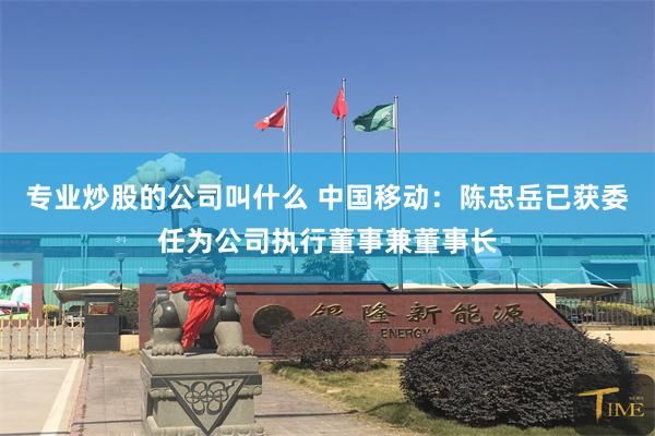 专业炒股的公司叫什么 中国移动：陈忠岳已获委任为公司执行董事兼董事长