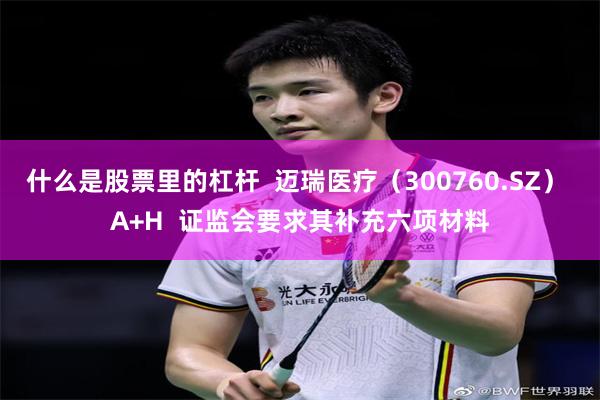 什么是股票里的杠杆  迈瑞医疗（300760.SZ） A+H  证监会要求其补充六项材料