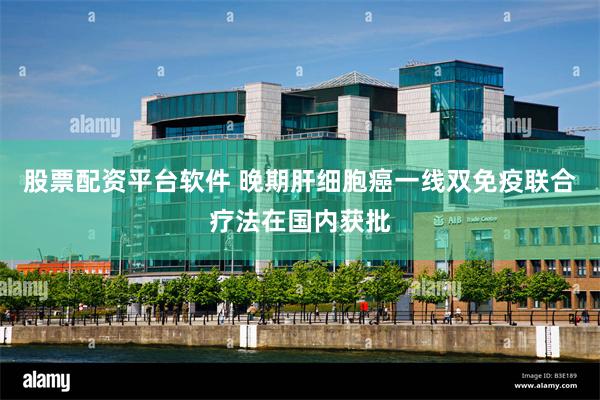 股票配资平台软件 晚期肝细胞癌一线双免疫联合疗法在国内获批