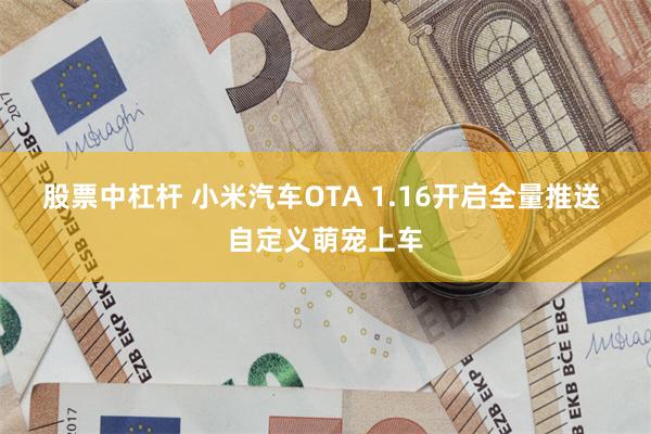 股票中杠杆 小米汽车OTA 1.16开启全量推送 自定义萌宠上车