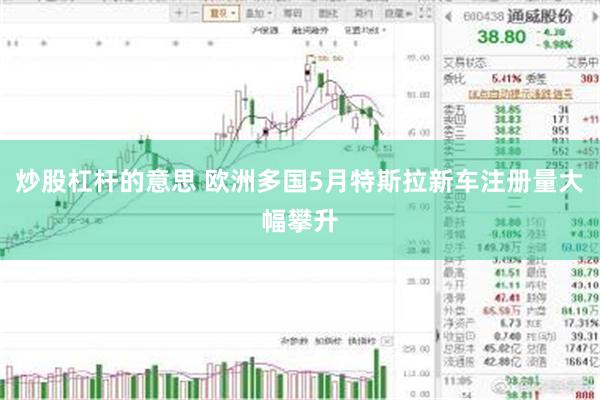 炒股杠杆的意思 欧洲多国5月特斯拉新车注册量大幅攀升