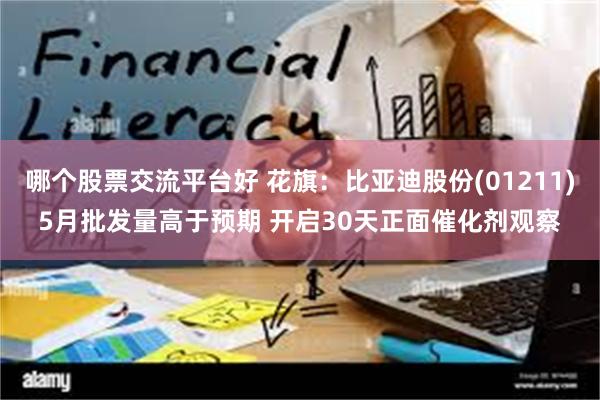 哪个股票交流平台好 花旗：比亚迪股份(01211)5月批发量高于预期 开启30天正面催化剂观察