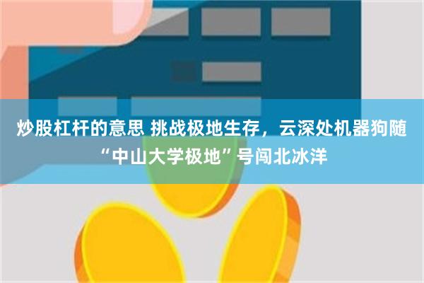 炒股杠杆的意思 挑战极地生存，云深处机器狗随“中山大学极地”号闯北冰洋