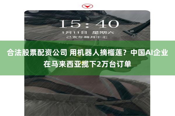 合法股票配资公司 用机器人摘榴莲?中国AI企业在马来西亚揽下2万台订单