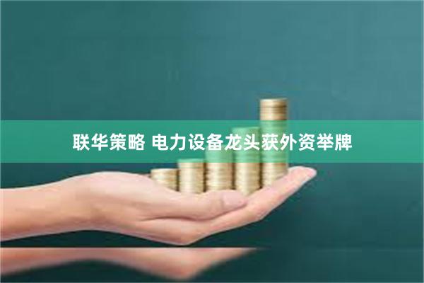 联华策略 电力设备龙头获外资举牌