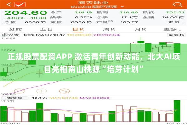 正规股票配资APP 激活青年创新动能，北大AI项目亮相南山桃源“培芽计划”