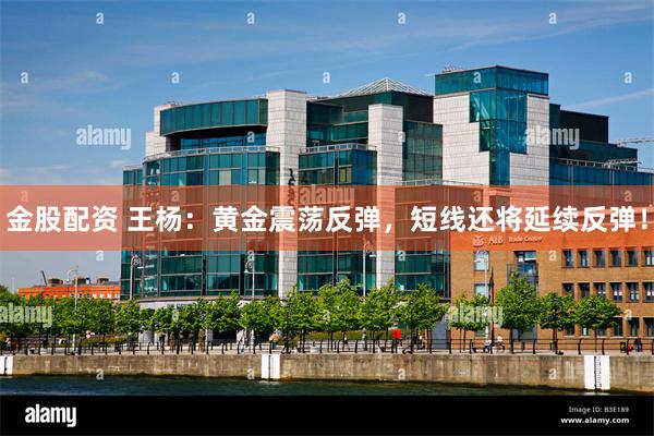 金股配资 王杨：黄金震荡反弹，短线还将延续反弹！