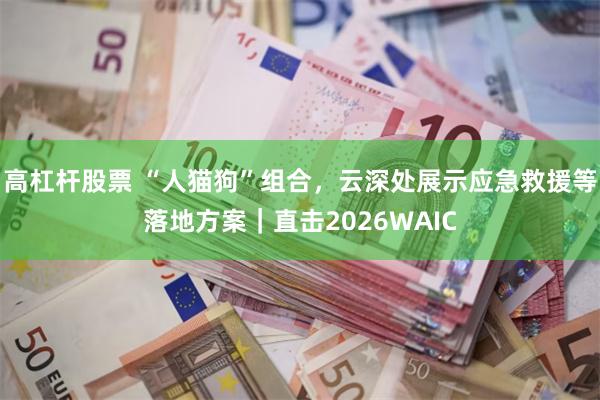 高杠杆股票 “人猫狗”组合，云深处展示应急救援等落地方案｜直击2026WAIC