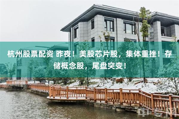 杭州股票配资 昨夜！美股芯片股，集体重挫！存储概念股，尾盘突变！