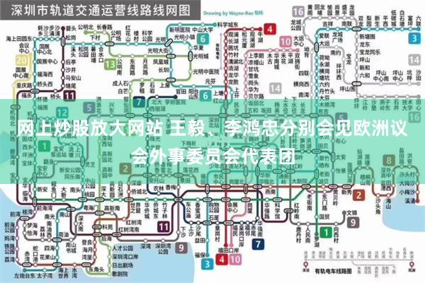 网上炒股放大网站 王毅、李鸿忠分别会见欧洲议会外事委员会代表团