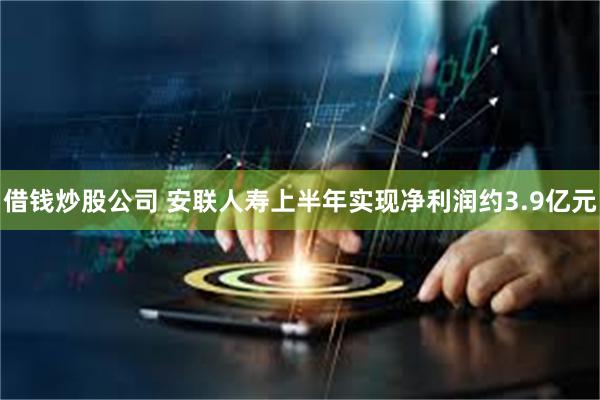 借钱炒股公司 安联人寿上半年实现净利润约3.9亿元