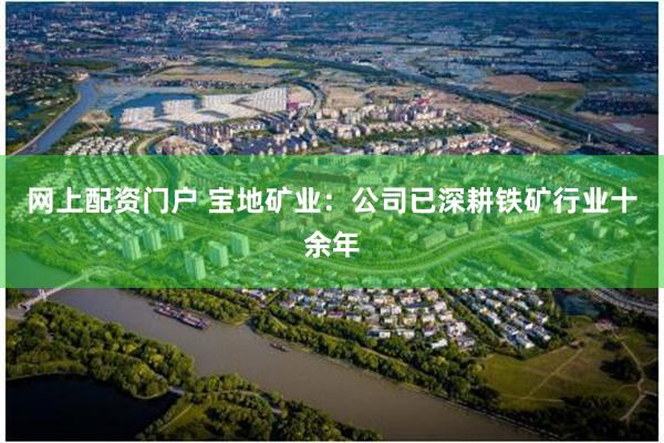网上配资门户 宝地矿业：公司已深耕铁矿行业十余年