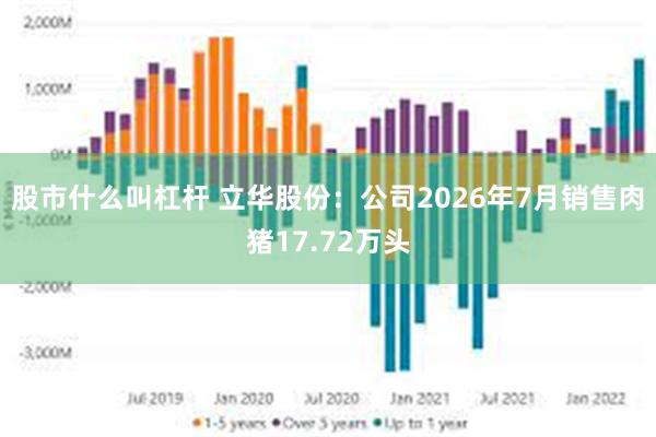 股市什么叫杠杆 立华股份：公司2026年7月销售肉猪17.72万头