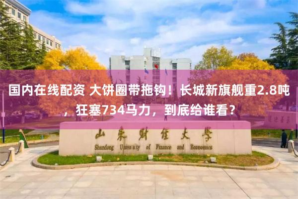 国内在线配资 大饼圈带拖钩!长城新旗舰重2.8吨,狂塞734马力,到底给谁看?