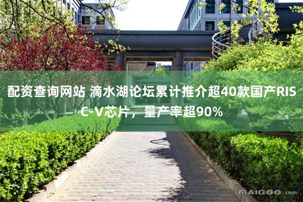 配资查询网站 滴水湖论坛累计推介超40款国产RISC-V芯片,量产率超90%