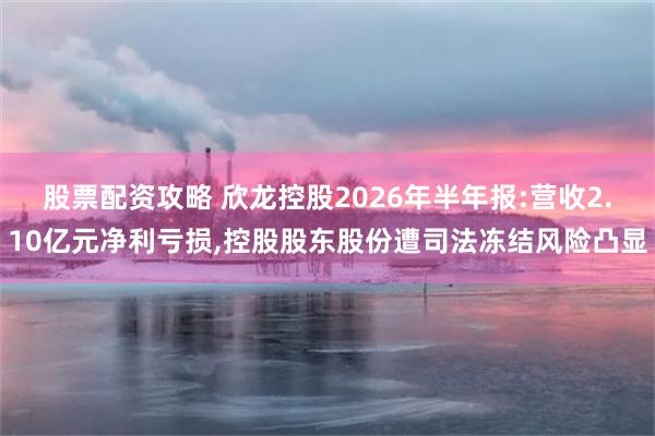 股票配资攻略 欣龙控股2026年半年报:营收2.10亿元净利亏损,控股股东股份遭司法冻结风险凸显