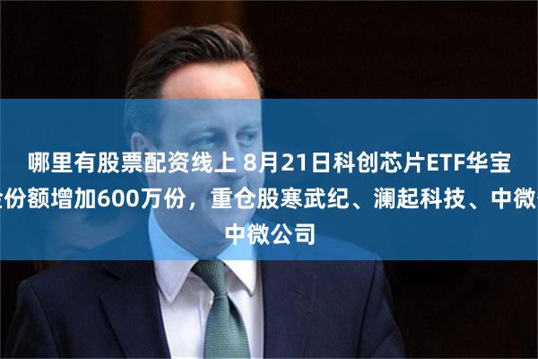 哪里有股票配资线上 8月21日科创芯片ETF华宝基金份额增加600万份，重仓股寒武纪、澜起科技、中微公司