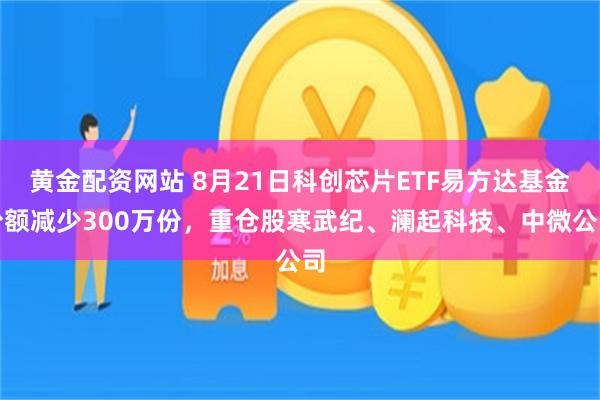 黄金配资网站 8月21日科创芯片ETF易方达基金份额减少300万份，重仓股寒武纪、澜起科技、中微公司