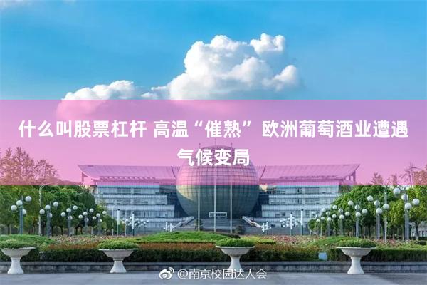 什么叫股票杠杆 高温“催熟” 欧洲葡萄酒业遭遇气候变局