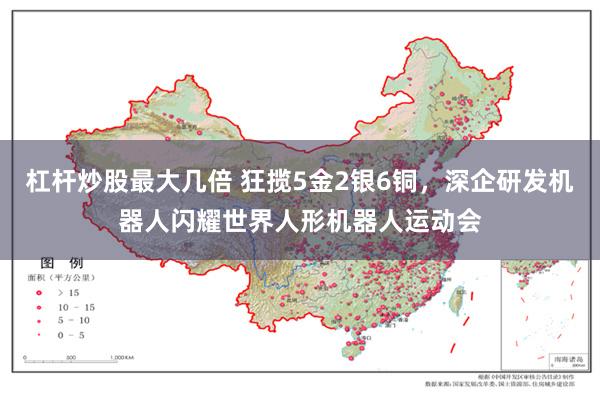 杠杆炒股最大几倍 狂揽5金2银6铜，深企研发机器人闪耀世界人形机器人运动会